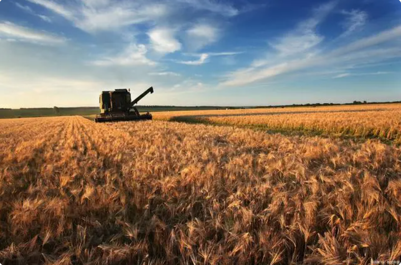 QQ截圖20231122150115