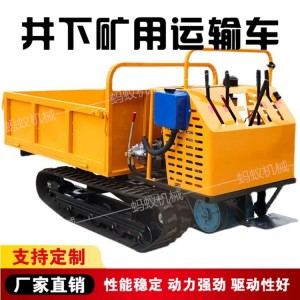 山地爬山虎運(yùn)輸機(jī) 履帶式運(yùn)輸車 農(nóng)用自卸運(yùn)輸機(jī)械