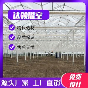 達(dá)領(lǐng)大棚骨架 溫室大棚配套設(shè)施 水肥一體化設(shè)備