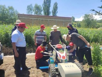 康樂開展電動牽引平臺水果玉米鋪膜、點播試驗